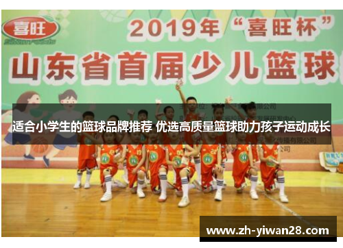 适合小学生的篮球品牌推荐 优选高质量篮球助力孩子运动成长 适合小学生的篮球品牌推荐 优选高质量篮球助力孩子运动成长