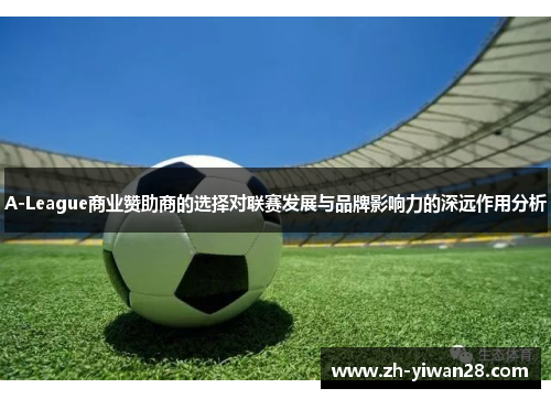 A-League商业赞助商的选择对联赛发展与品牌影响力的深远作用分析 A-League商业赞助商的选择对联赛发展与品牌影响力的深远作用分析