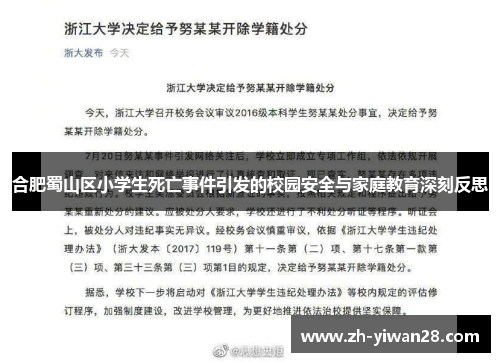 合肥蜀山区小学生死亡事件引发的校园安全与家庭教育深刻反思 合肥蜀山区小学生死亡事件引发的校园安全与家庭教育深刻反思