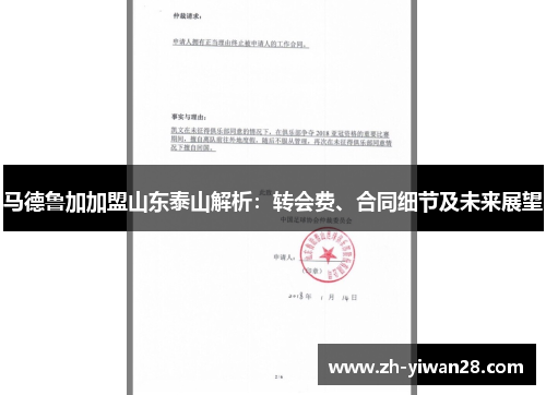 马德鲁加加盟山东泰山解析：转会费、合同细节及未来展望