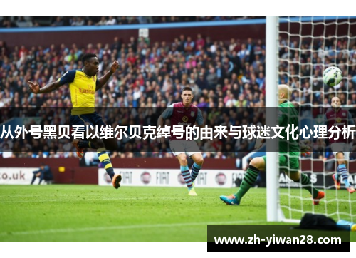 从外号黑贝看以维尔贝克绰号的由来与球迷文化心理分析