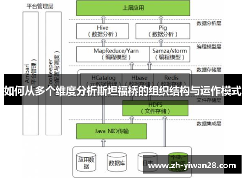 如何从多个维度分析斯坦福桥的组织结构与运作模式