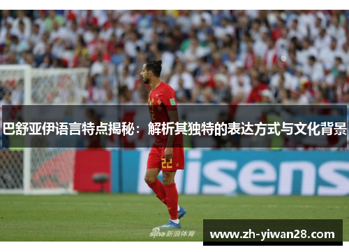 巴舒亚伊语言特点揭秘：解析其独特的表达方式与文化背景