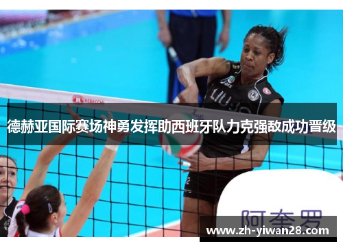 德赫亚国际赛场神勇发挥助西班牙队力克强敌成功晋级